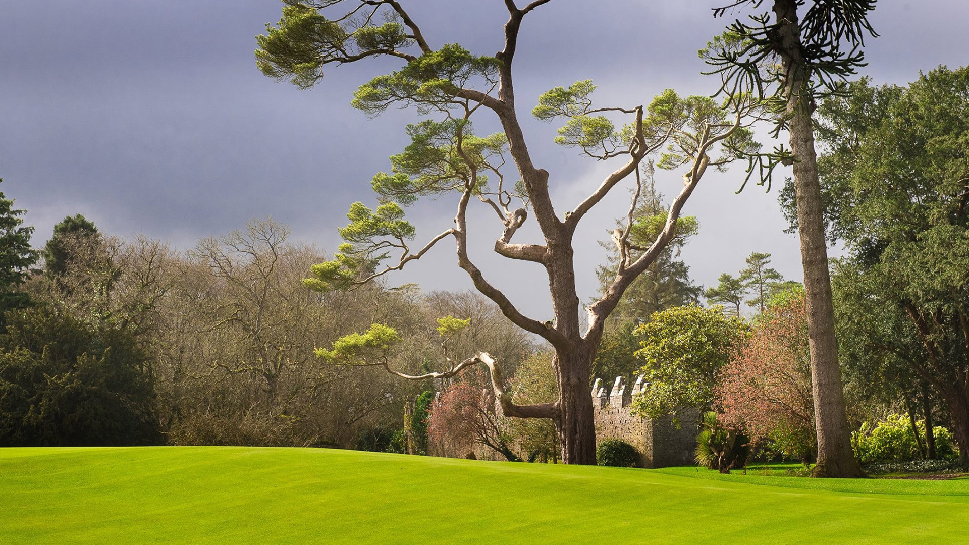 Adare-manor2